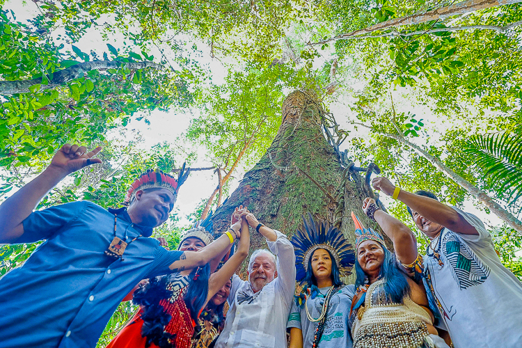 Como presidente eleito, Lula defendeu na COP 27, no Egito, Belém como sede da Conferência Mundial do Clima Foto: Ricardo Stuckert