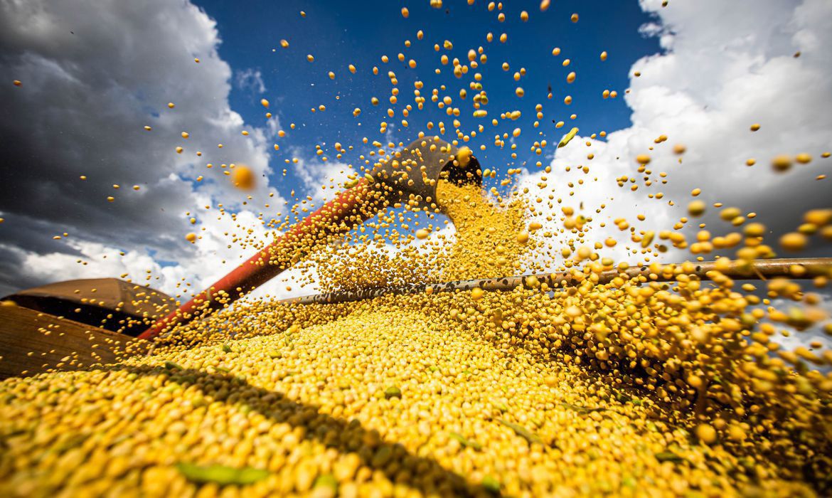 Foto: Wenderson Araújo/Trilux - Agência Brasil