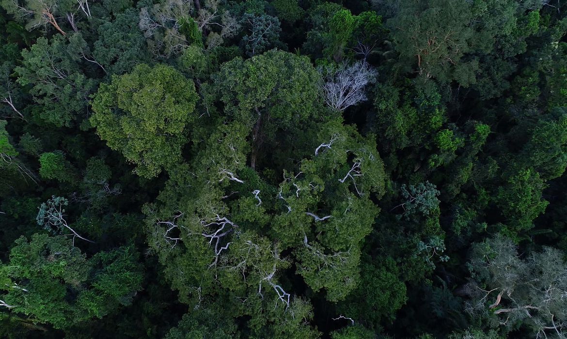 Foto: Divulgação TV Brasil