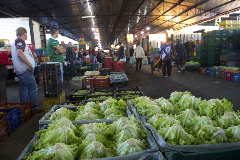 Foto: Governo do Paraná