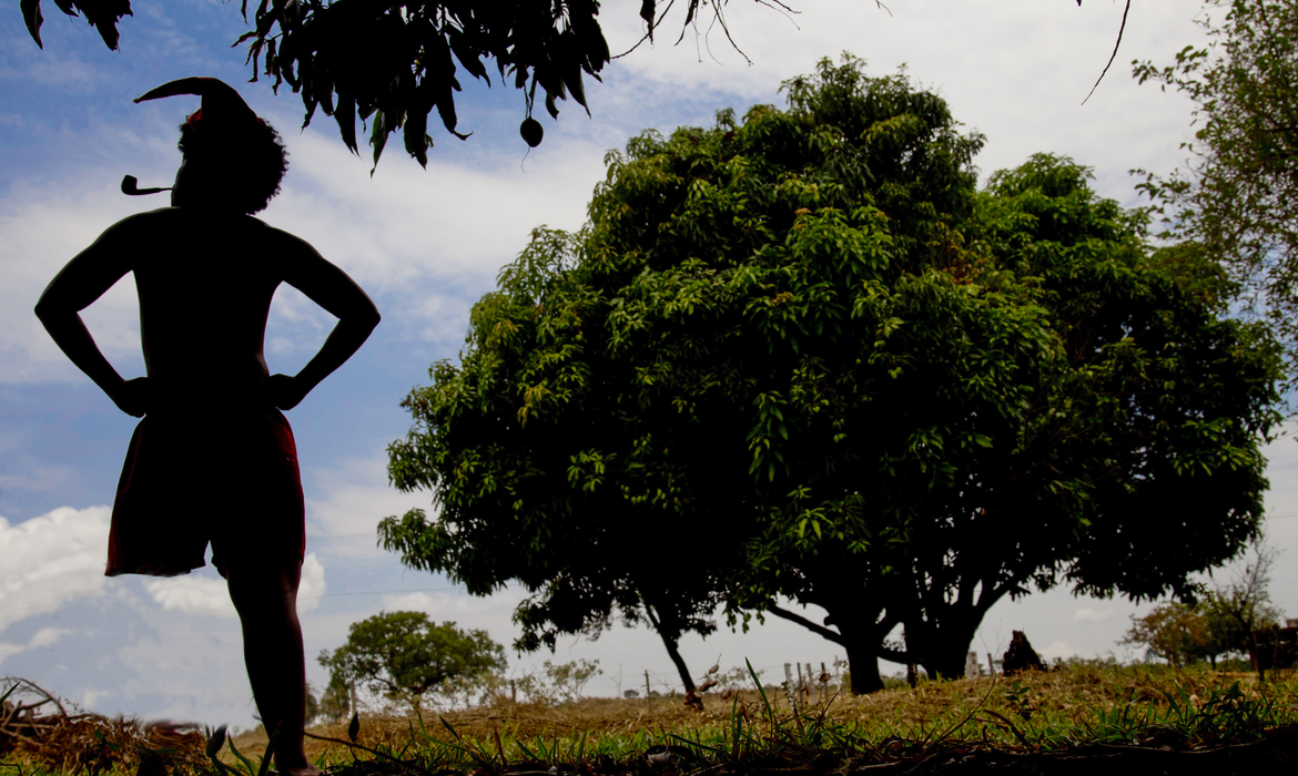 Foto: Joédson Alves/Agência Brasil