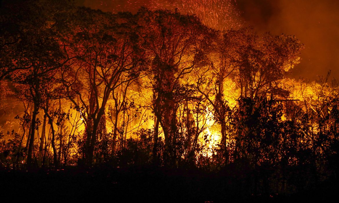 Foto: Joédson Alves / Agência Brasil