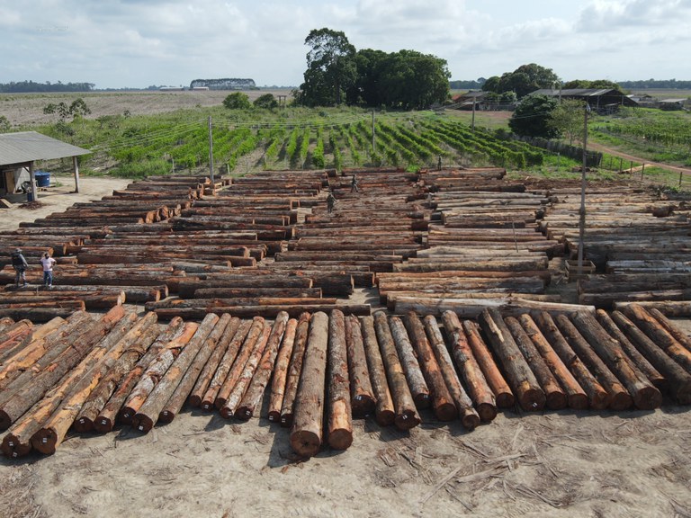 Foto: Divulgação / Ibama