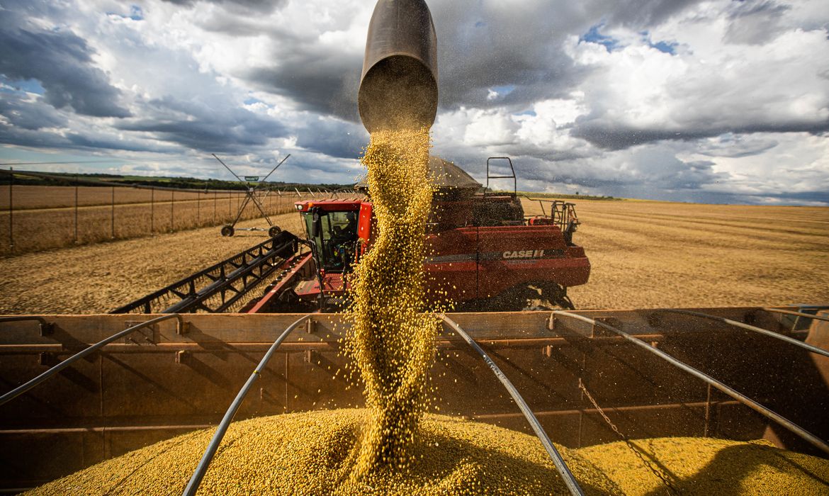 Foto: Wenderson Araújo / CNA / Agência Brasil