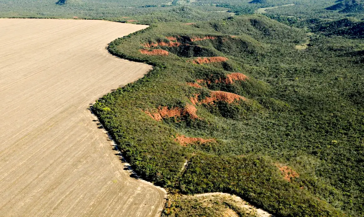 Foto: Adriano Gambarini/WWF Brasil/Divulgação