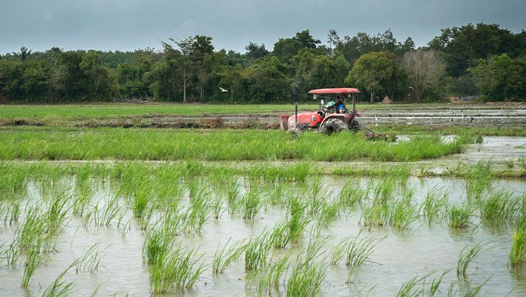 A agricultura familiar é um pilar essencial do nosso desenvolvimento rural, disse o ministro Paulo Teixeira. Foto: Agência Gov