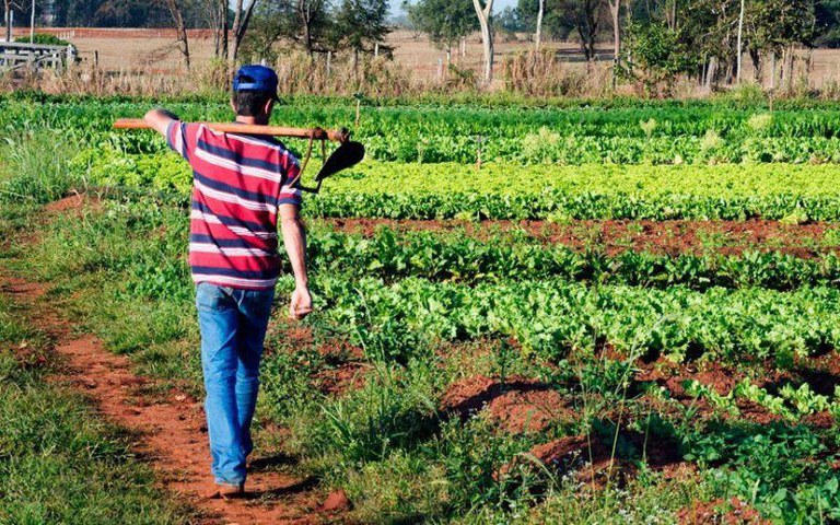 O projeto é uma parceria do BNDES com o Fundo Internacional de Desenvolvimento Agrícola (FIDA)