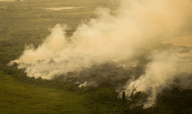 Incêndios florestais no Mato Grosso do Sul. Foto: Joédson Alves / Agência Brasil