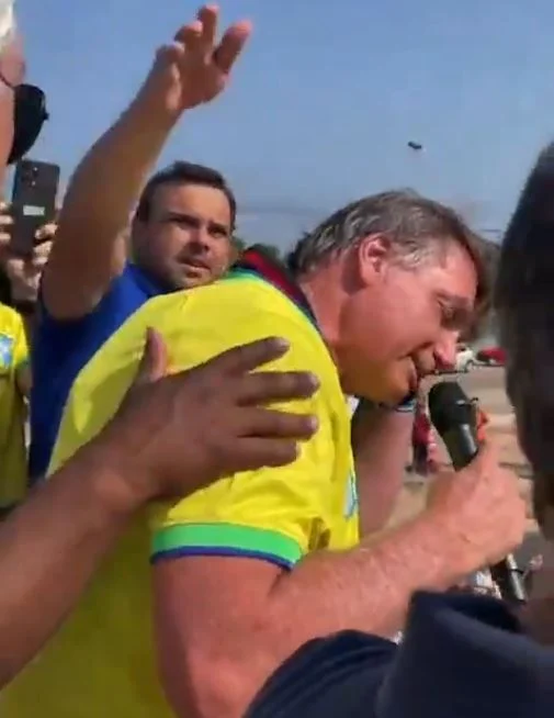 Abelhas atacam Bolsonaro. Foto: Divulgação