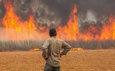 Foto: Agência Brasil