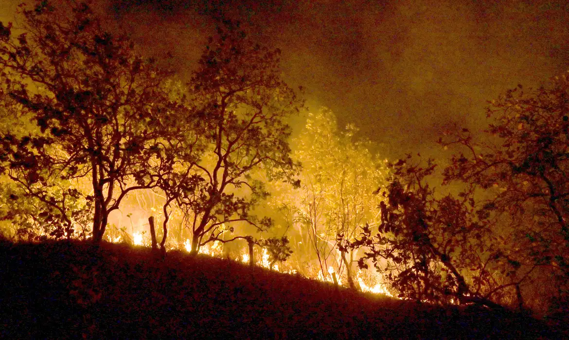 Foto: Jader Souza / AL Roraima