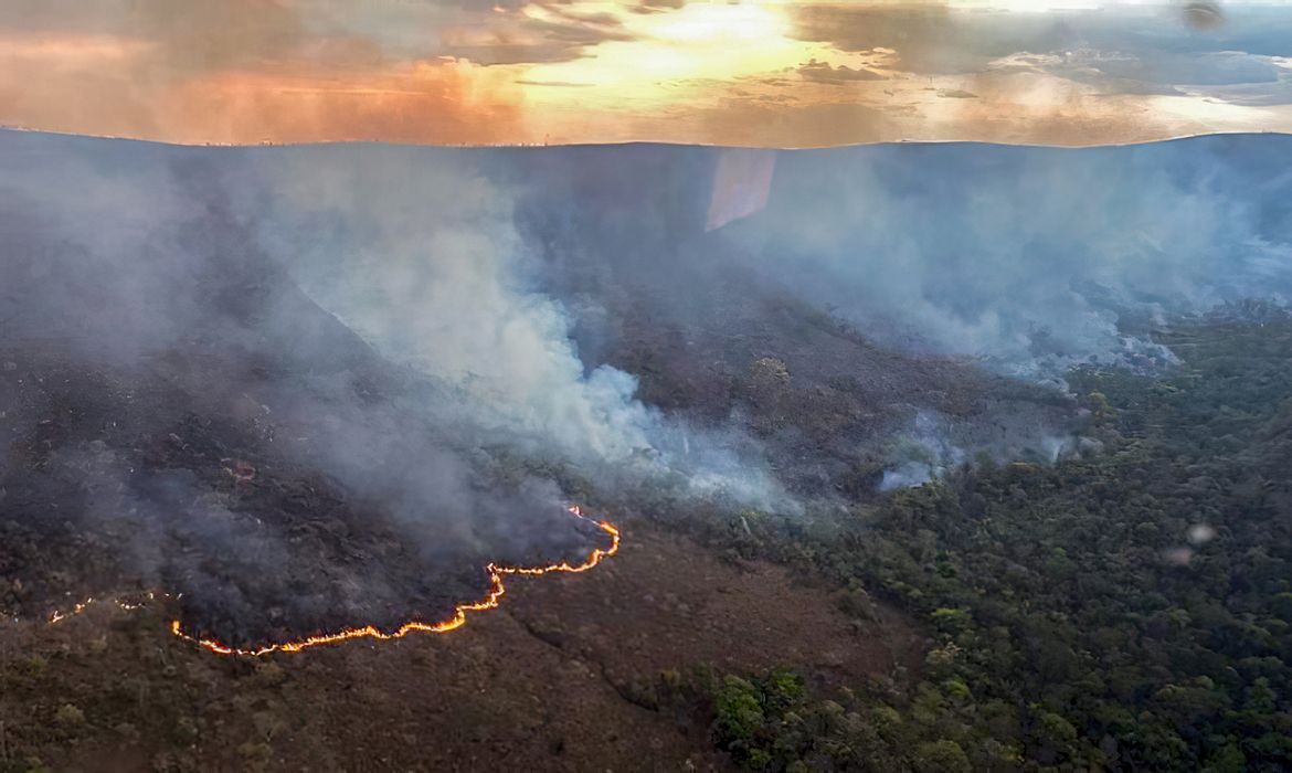 Foto: Divulgação / CBMGO