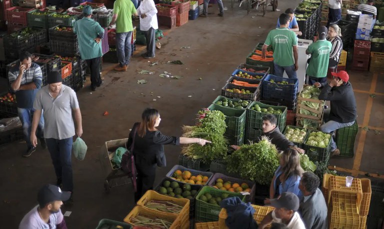 Hortaliças e legumes registram a maior queda entre os alimentos Foto: Marcello Casal / Agência Brasil