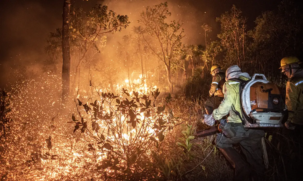 Foto: Mayangdi Inzaulgarat/Ibama/Agência Brasil