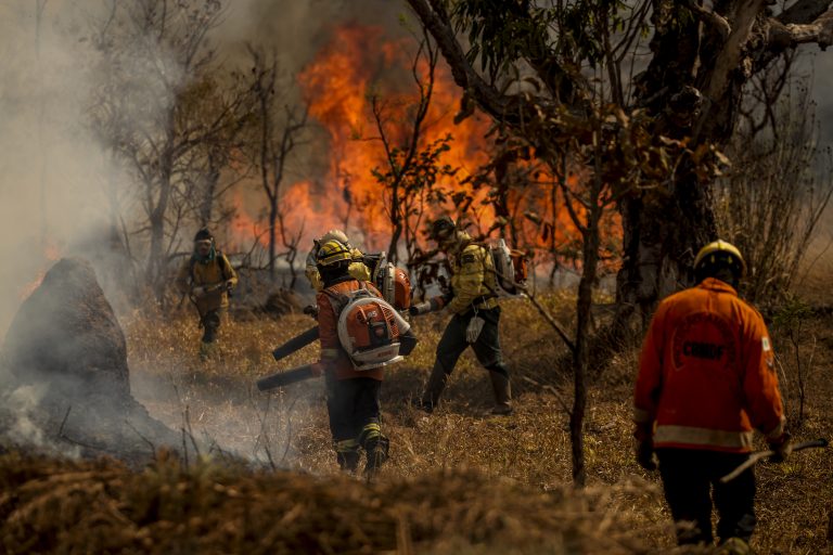 Brigadistas combatem incêndio em área de cerrado em Brasília. Fonte: Agência Câmara de NotíciasFoto: Marcelo Camargo / Agência Brasil