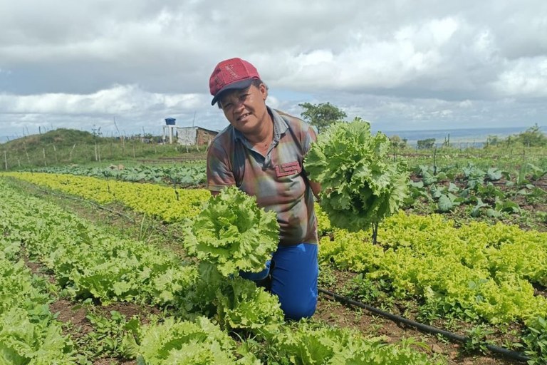 As famílias receberão assistência especializada durante 15 meses e, em troca, comprometem-se a adotar práticas sustentáveis. Foto: Divulgação / Emater