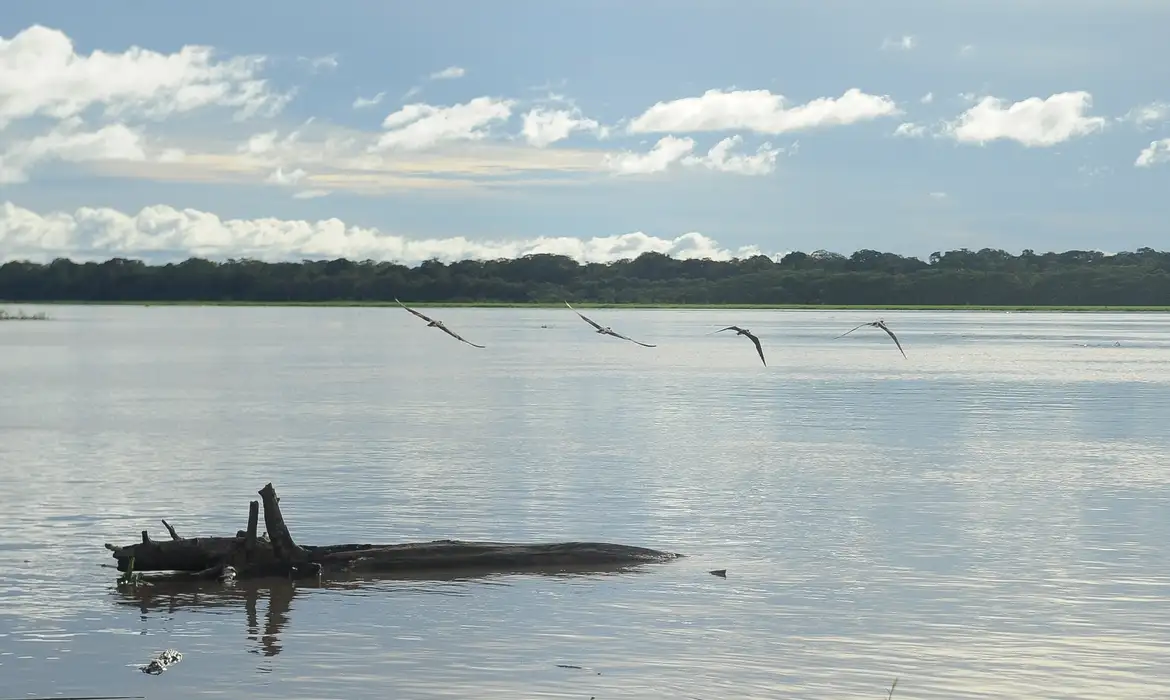 Foto: Tomaz Silva / Agência Brasil