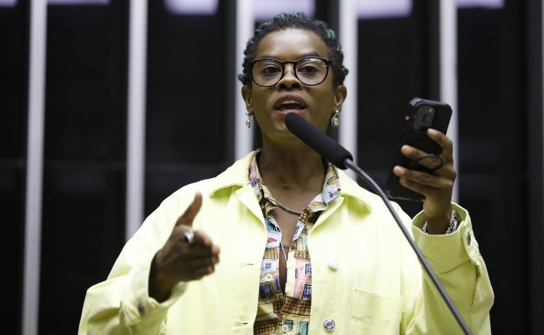 Carol Dartora: o serviço público precisa refletir a diversidade do povo brasileiro. Foto: Mário Agra/Câmara dos Deputados