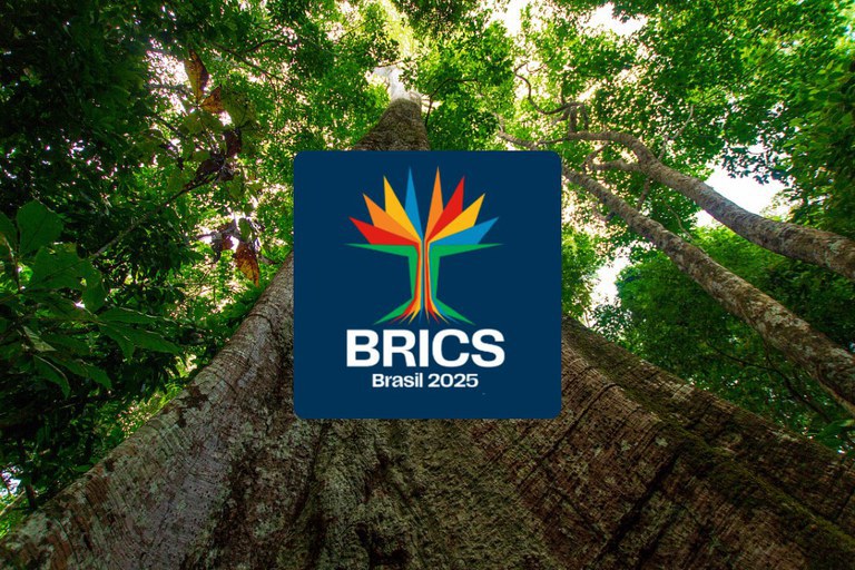 Marca foi desenvolvida para representar a presidência brasileira do Brics em 2025. Foto: Divulgação