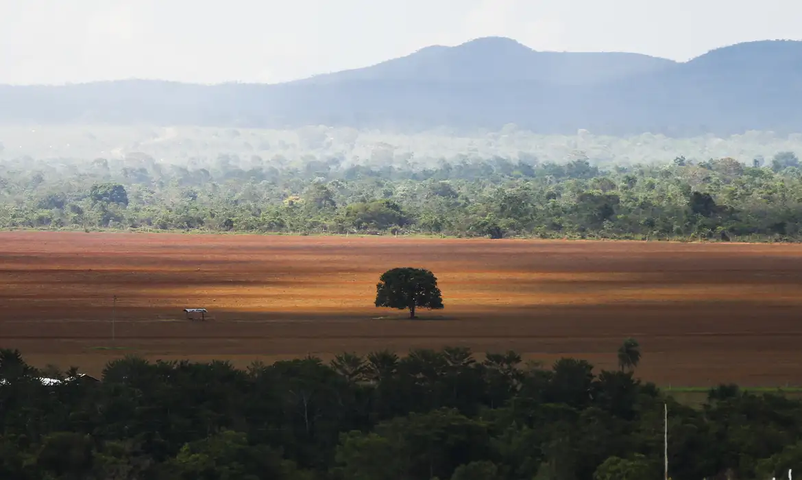 Área de cerrado desmatada para plantio no município de Alto Paraíso (Foto: Marcelo Camargo/Agência Brasil)