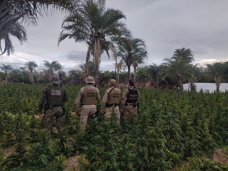 Foto: Polícia Federal