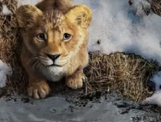 Beyoncé e Blue Ivy serão mãe e filha em "Mufasa, o Rei Leão"; veja o trailer