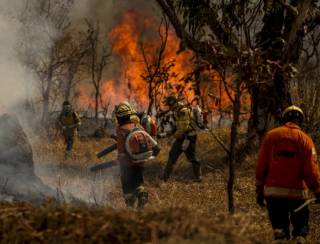 Medida provisória facilita repasses financeiros a estados para combater incêndios