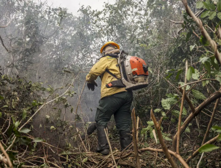 Ibama multa fazendeiros em R$ 100 milhões por incêndio no Pantanal