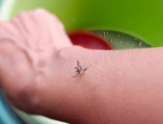 Saúde lança campanha nacional de combate à dengue, zika e chikungunya