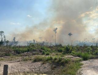 Força tarefa prende em flagrante homem que ateava fogo em Novo Progresso, no Amapá