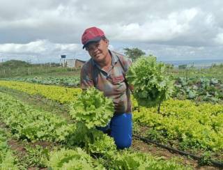 Com investimento de R$ 60 milhões, nova fase do Programa Bolsa Verde alcança 15 mil famílias