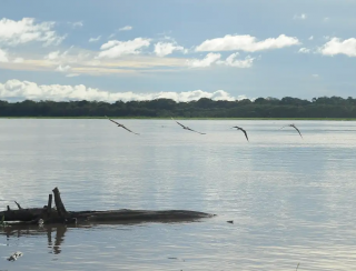 Seca: governo paga auxílio para pescadores da Região Norte