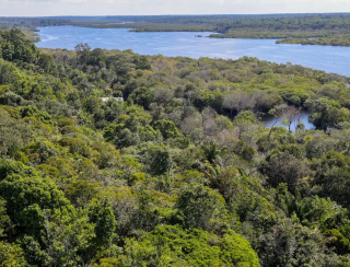 Desmatamento na Amazônia cai 30,6% em um ano