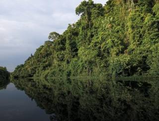 BNDES libera em sete meses 2,5 vezes o valor aprovado em dez anos de Fundo Clima