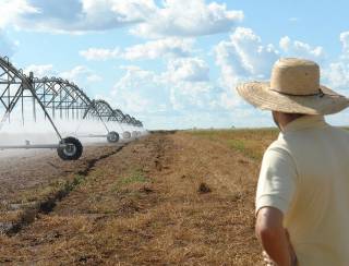 Áreas agrícolas irrigadas crescem 14% desde 2023. Oeste baiano lidera uso da técnica