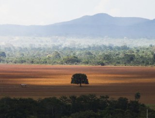 Governo cobra de infratores ambientais recuperação de 6,8 mil hectares em 5 biomas