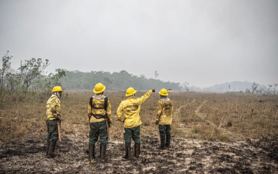 Dino estabelece orçamento de emergência para combate a incêndios