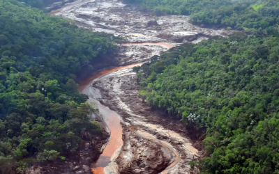 MST começa a plantar 2 mil hectares no Vale do Rio Doce