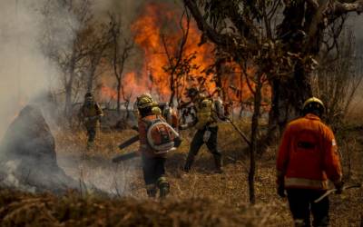 Medida provisória facilita repasses financeiros a estados para combater incêndios