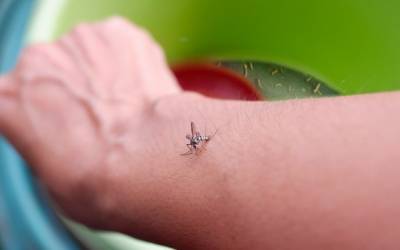 Saúde lança campanha nacional de combate à dengue, zika e chikungunya