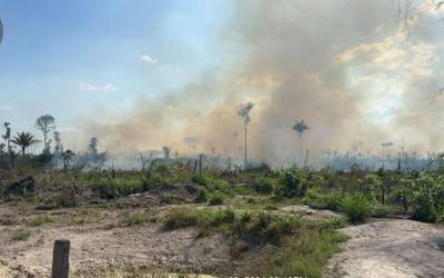 Força tarefa prende em flagrante homem que ateava fogo em Novo Progresso, no Amapá