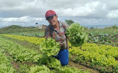 Com investimento de R$ 60 milhões, nova fase do Programa Bolsa Verde alcança 15 mil famílias