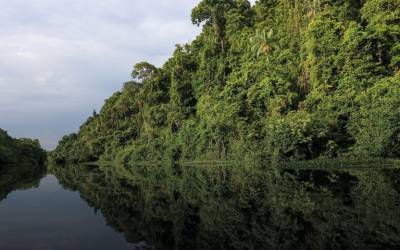 BNDES libera em sete meses 2,5 vezes o valor aprovado em dez anos de Fundo Clima