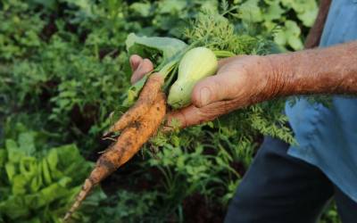 Sancionada lei que fortalece financiamento para agricultura familiar