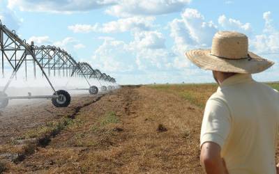 Áreas agrícolas irrigadas crescem 14% desde 2023. Oeste baiano lidera uso da técnica