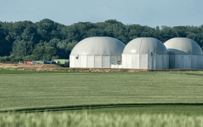 Lei do Combustível do Futuro impulsiona nova indústria verde e já apresenta resultados no Brasil