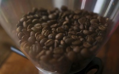 'Todo mundo está iludido': cientistas estabelecem horário seguro para tomar café