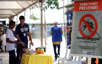 Casos de dengue no Brasil caem 60% nas primeiras semanas do ano