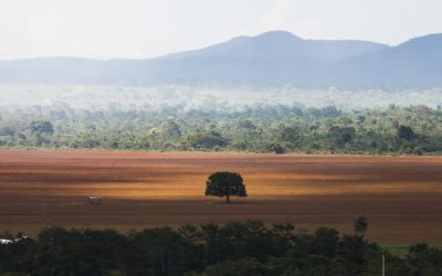 Governo cobra de infratores ambientais recuperação de 6,8 mil hectares em 5 biomas