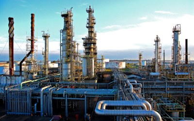 Tecnologia da Petrobras transforma massa de eucalipto em combustível